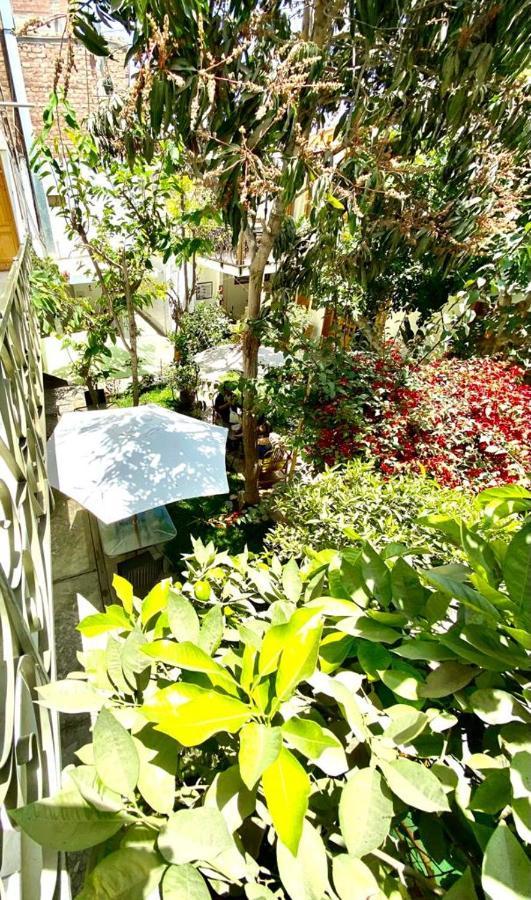 ホテル Garden House イカ エクステリア 写真